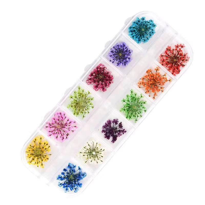Mix 12 Colors Dry Flower Nail Art - Dried Flower Nail Design
