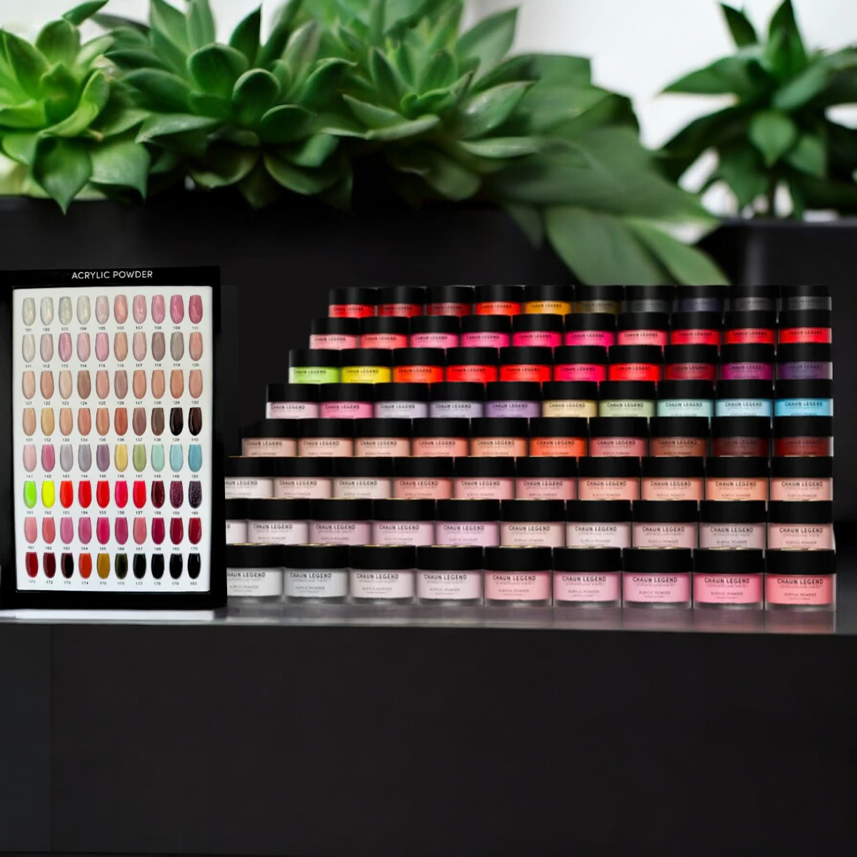 CHAUN LEGEND Full Acrylic Powder Collection 80 Colors + Color Book