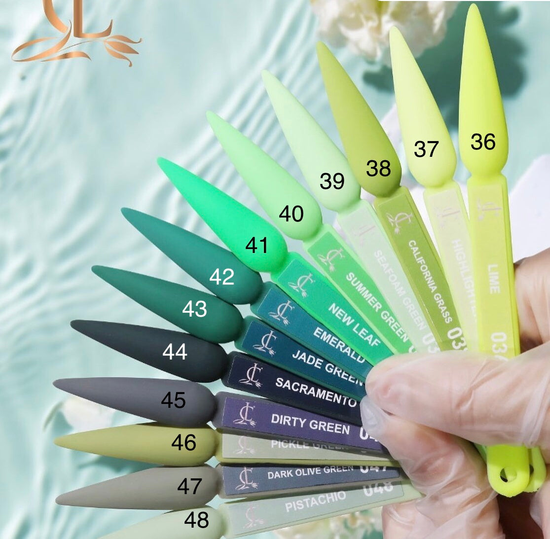 Cllam Acrylic Powder (from 36 to 48)