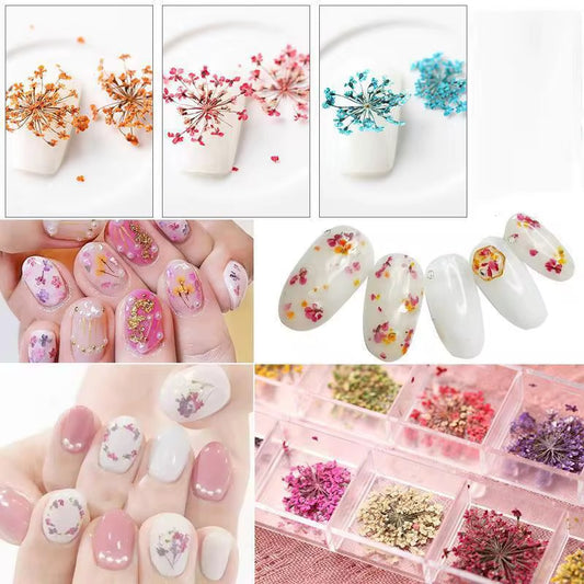 Mix 12 Colors Dry Flower Nail Art - Dried Flower Nail Design
