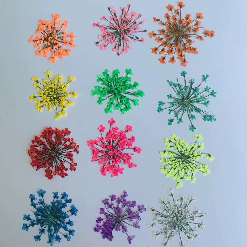 Mix 12 Colors Dry Flower Nail Art - Dried Flower Nail Design