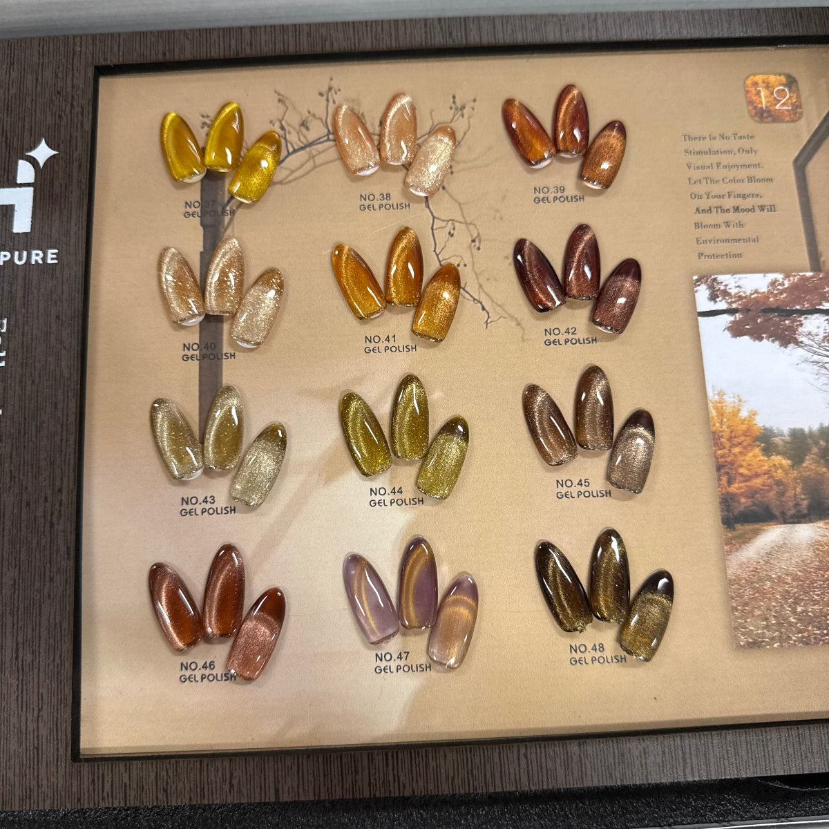 FALL Collection Cat Eye Gel Polish 12 COLORS