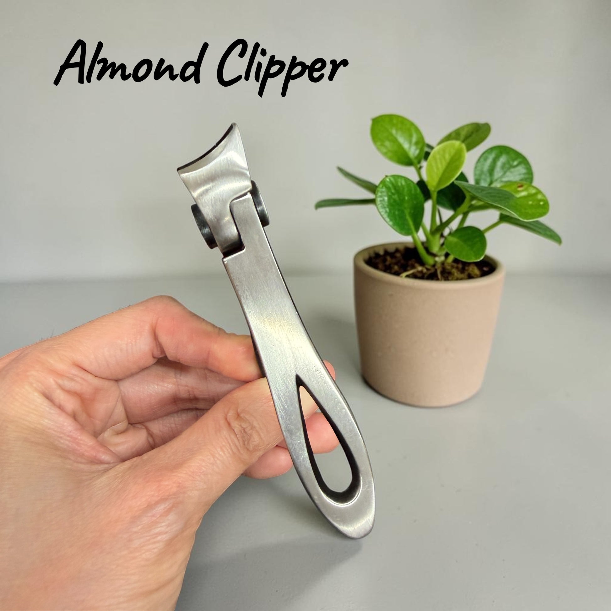 High Quality Almond Clipper  - Nails Clipper
