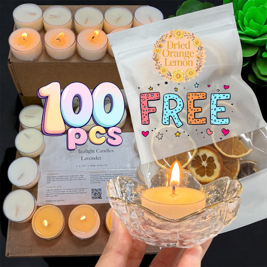 Massage Oil Candle Round Cup 100 pcs Box + Candle Holder + Dried Orange