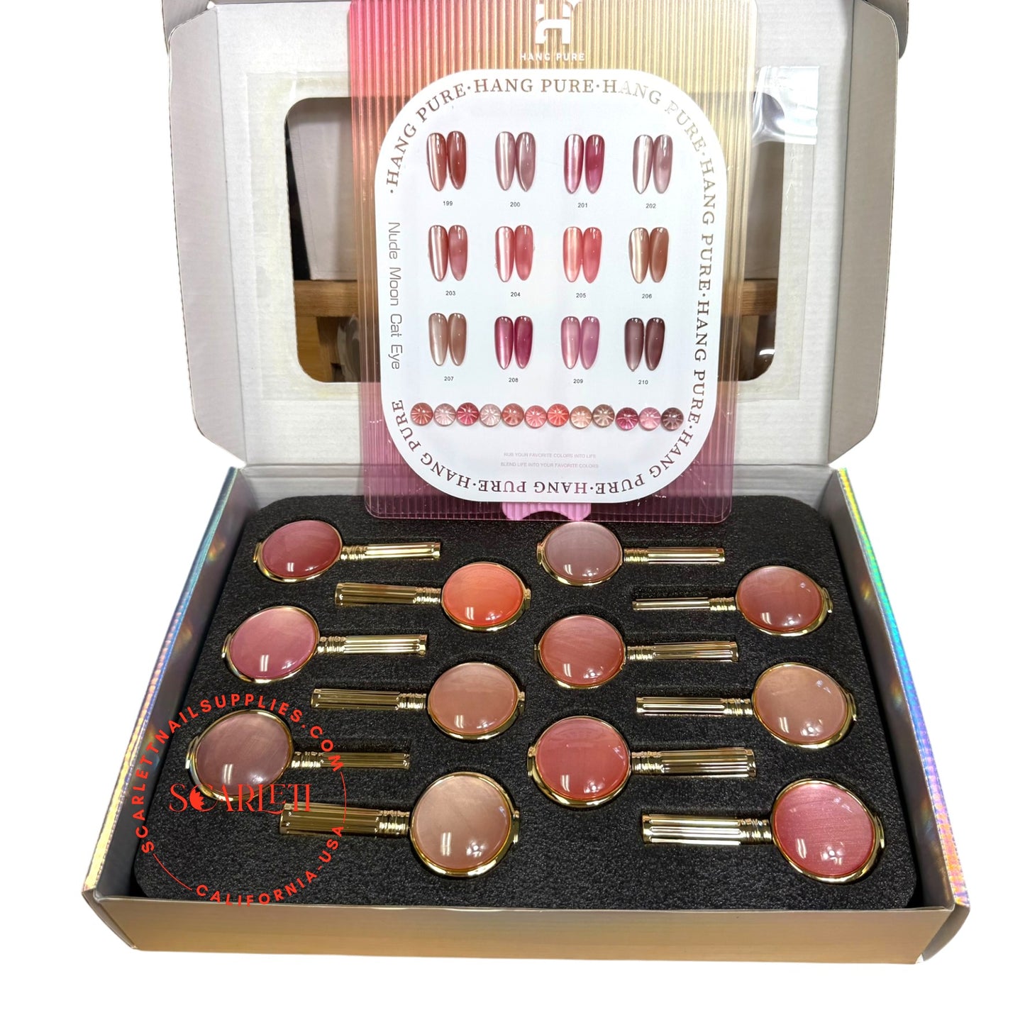 Nude Moon Cat Eye Gel swatch board showing 12 nude magnetic shades 199–210